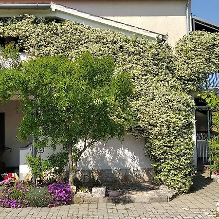 Sasa A3 - Hr-11069-02 By Interhome *